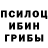 Галлюциногенные грибы мухоморы Enchanted Dirt