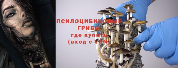 гидропоника Аркадак