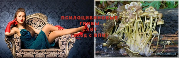 дмт Армянск