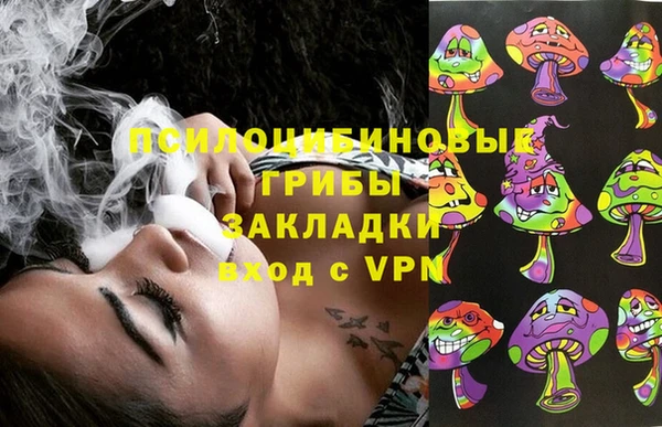 гидропоника Аркадак